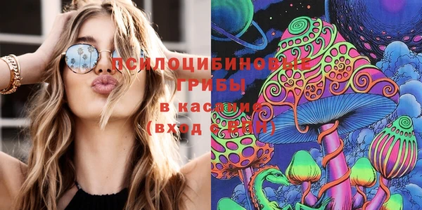 стафф Алексеевка
