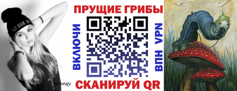 Псилоцибиновые грибы мицелий  Заводоуковск 